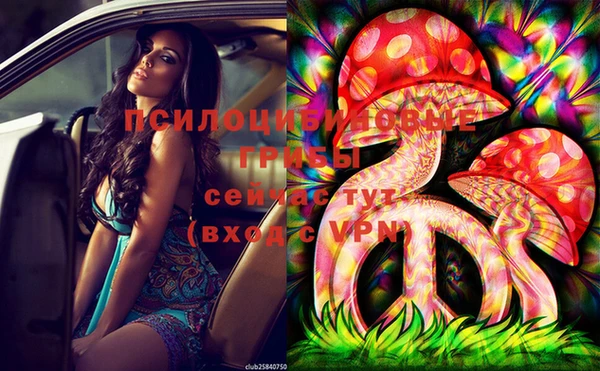 ECSTASY Белокуриха