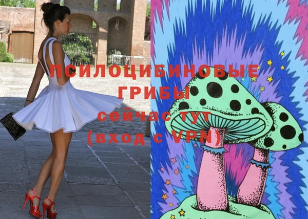 ECSTASY Белокуриха