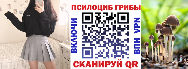 KRAKEN как зайти  Кузнецк  Галлюциногенные грибы мицелий  это Telegram  сколько стоит 
